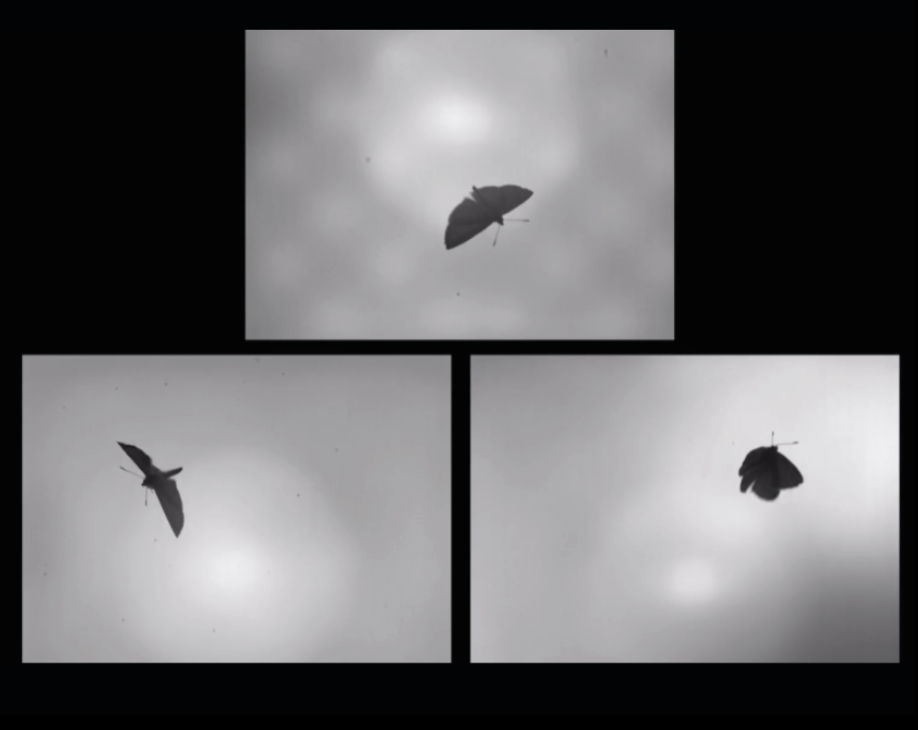 placeholder image 2