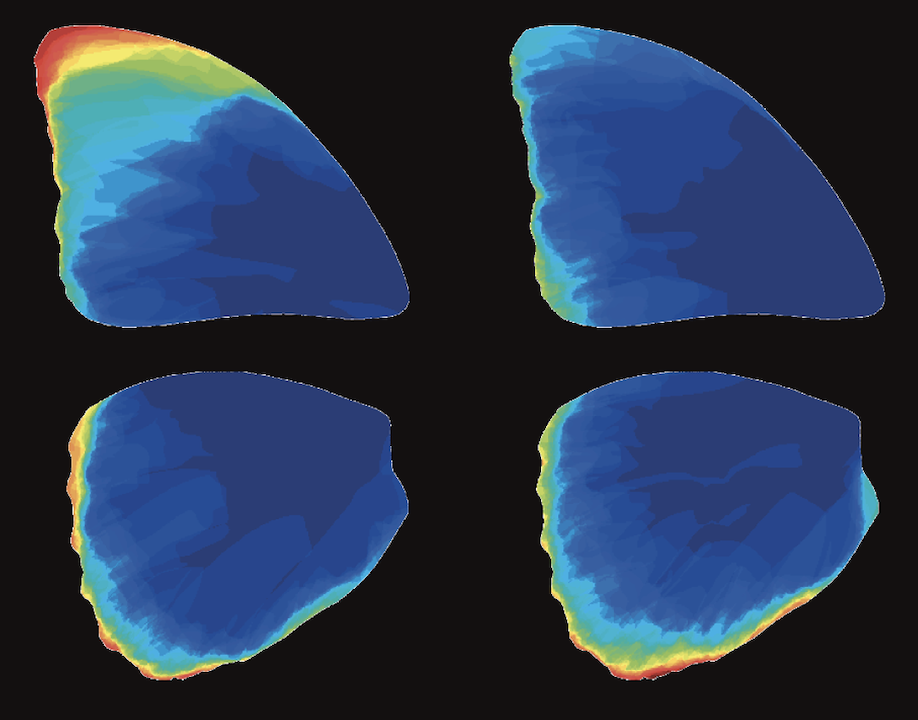 Wing heatmap preview
